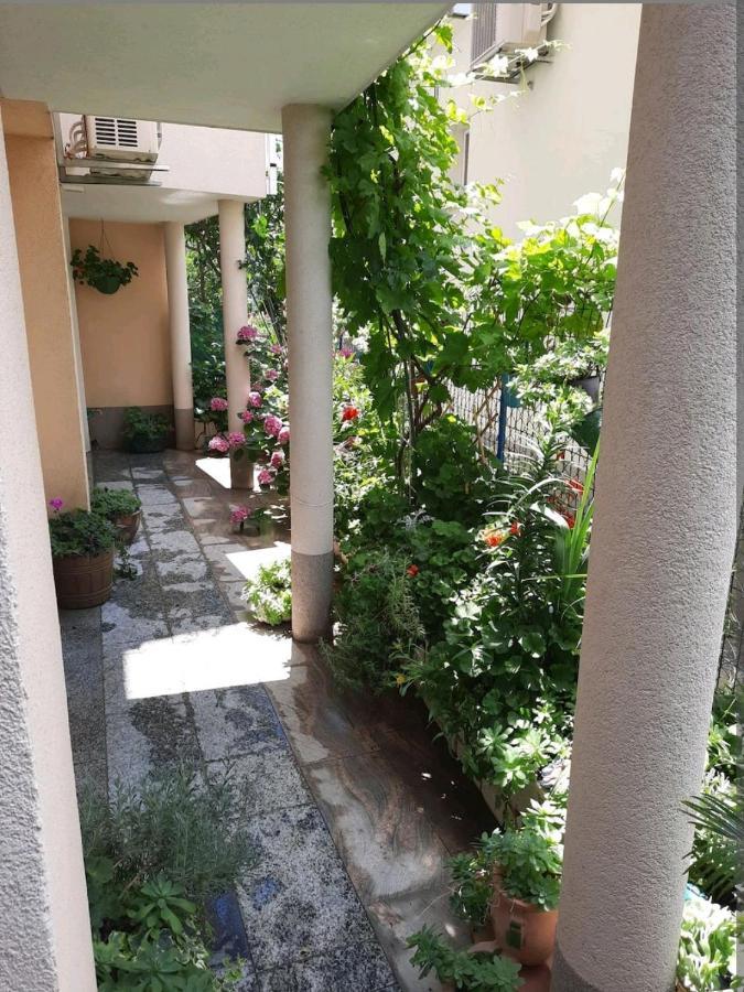 Vila Doris Hotel Baška Voda Exterior foto